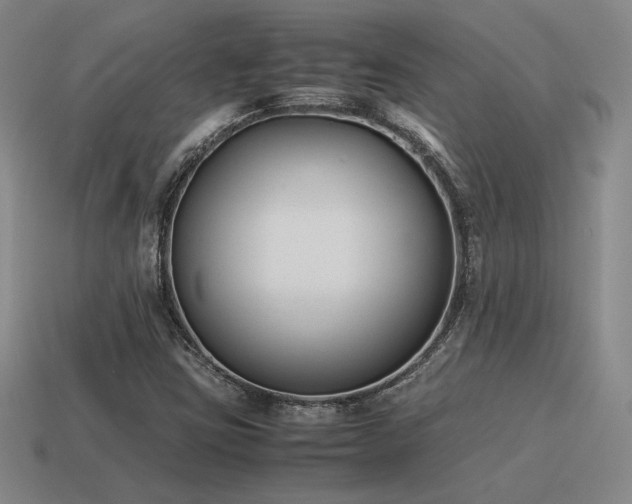 X0000115601403200911101356