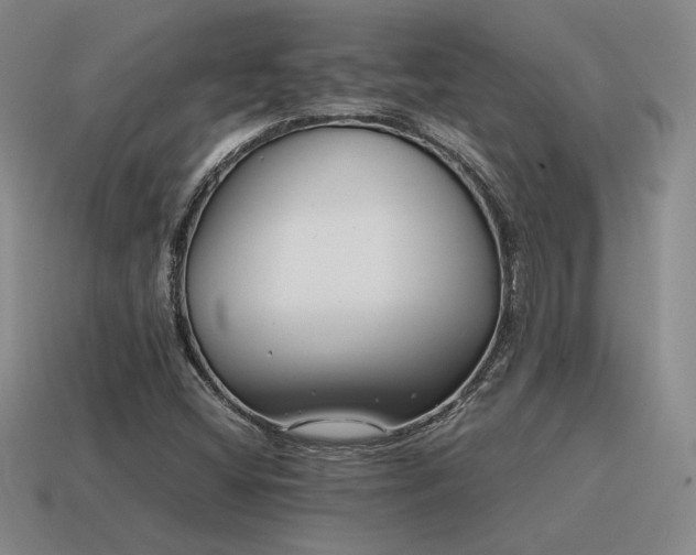 X0000115601404200911101356