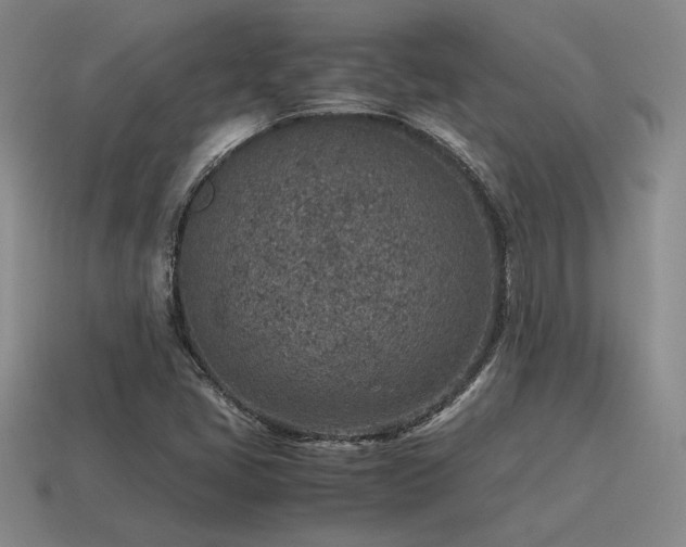 X0000115601405200911101356