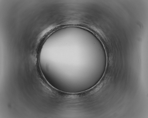 X0000115601406200911101356