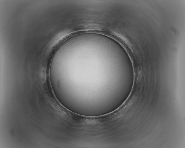X0000115601407200911101356