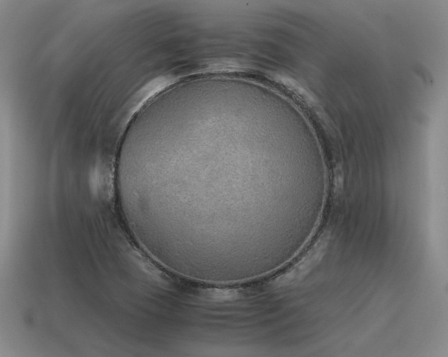 X0000115601409200911101356