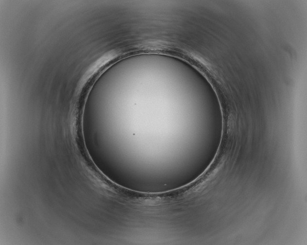 X0000115601410200911101356