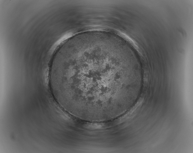 X0000115601411200911101356