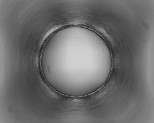 X0000115601412200911101356