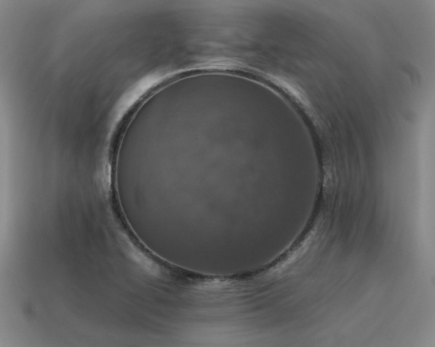 X0000115601414200911101356