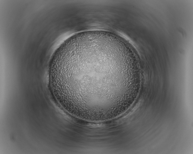 X0000115601415200911101356