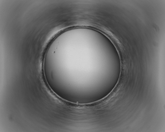 X0000115601416200911101356