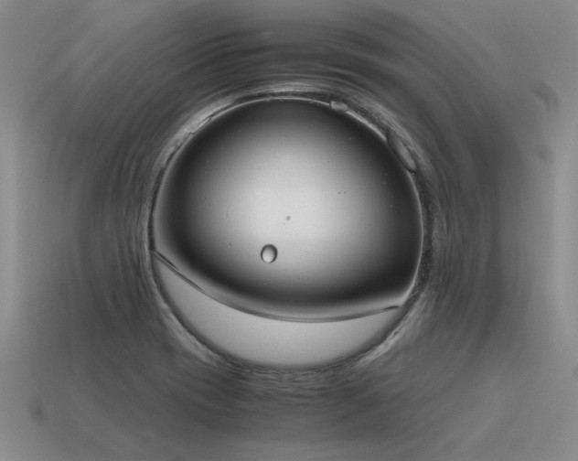 X0000115601417200911101356