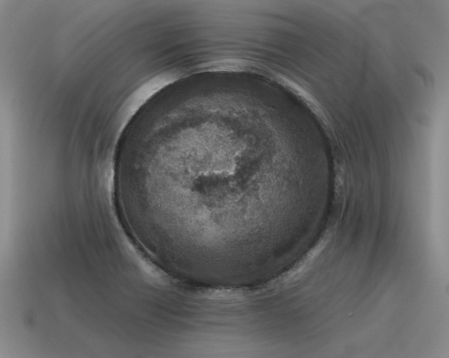 X0000115601418200911101356