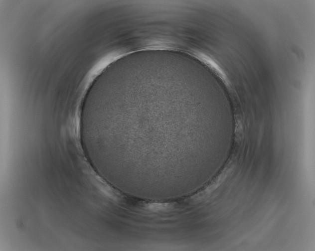 X0000115601419200911101356