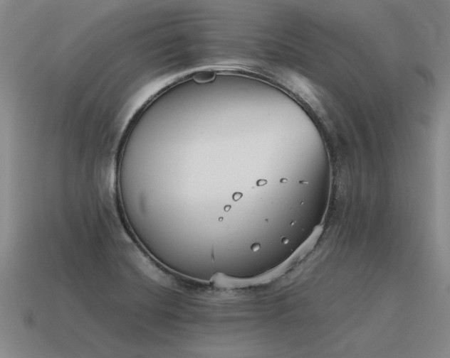 X0000115601420200911101356