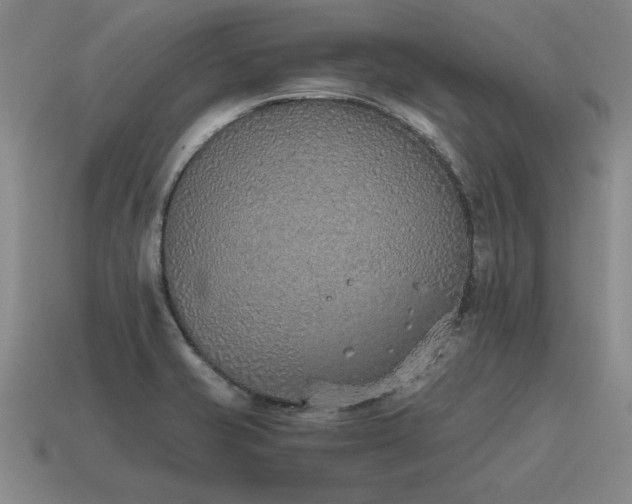 X0000115601421200911101356
