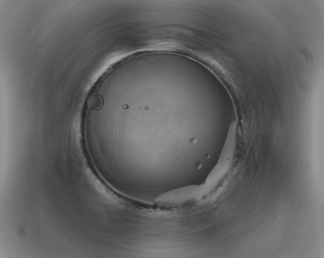 X0000115601422200911101356