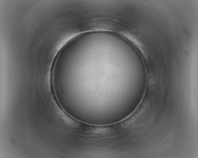 X0000115601423200911101356
