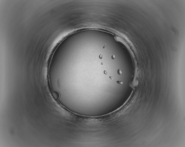 X0000115601424200911101356