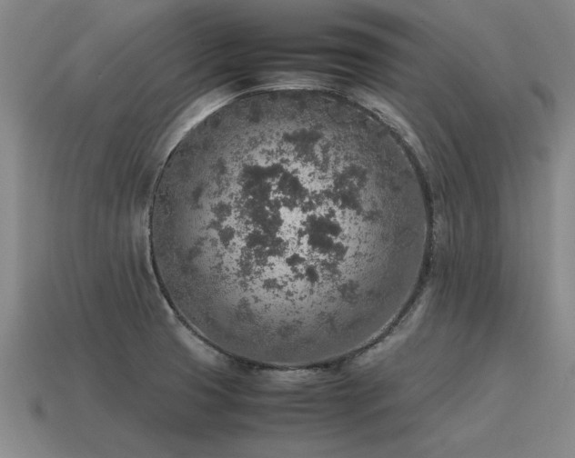 X0000115601425200911101356