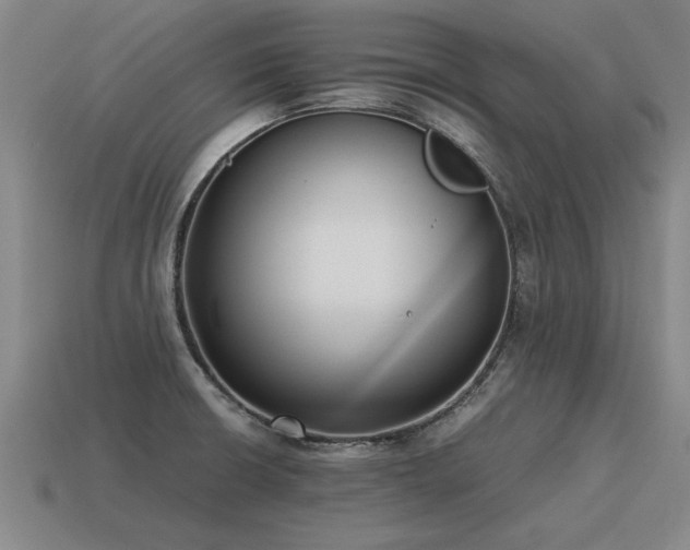 X0000115601426200911101356