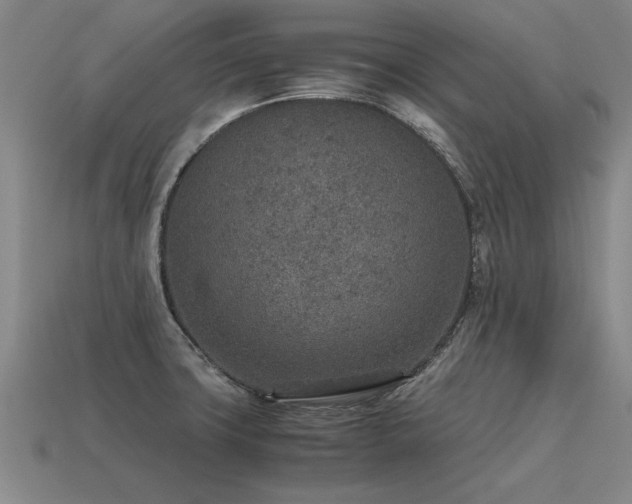 X0000115601427200911101356