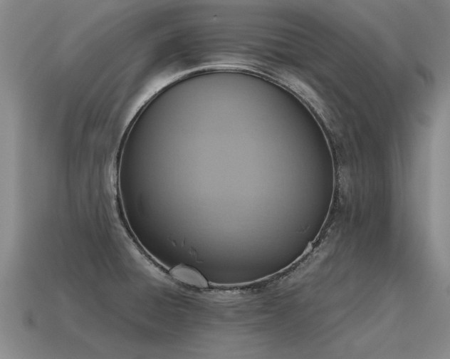 X0000115601428200911101356