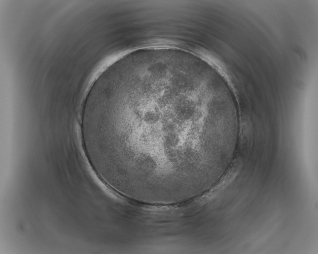 X0000115601429200911101356