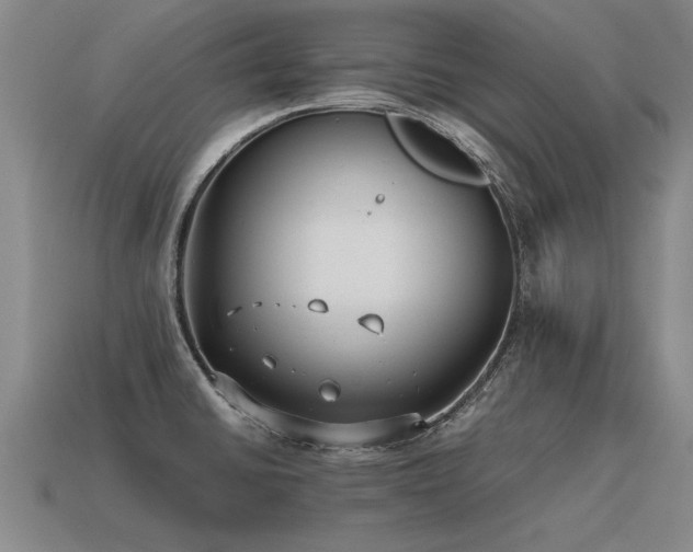 X0000115601430200911101356