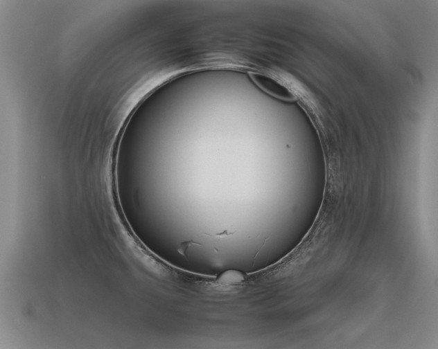 X0000115601431200911101356