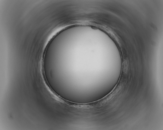 X0000115601432200911101356