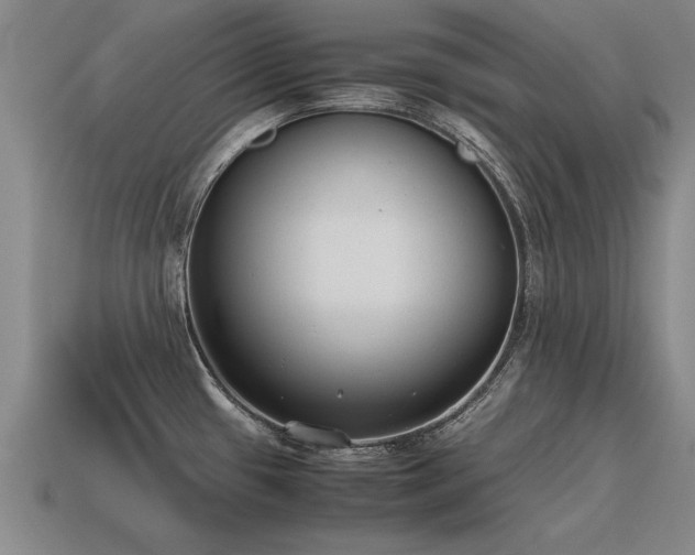 X0000115601433200911101356