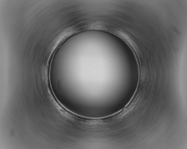 X0000115601434200911101356
