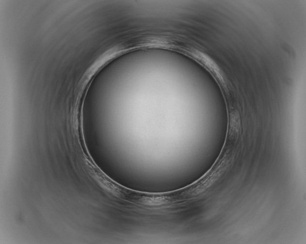 X0000115601435200911101356