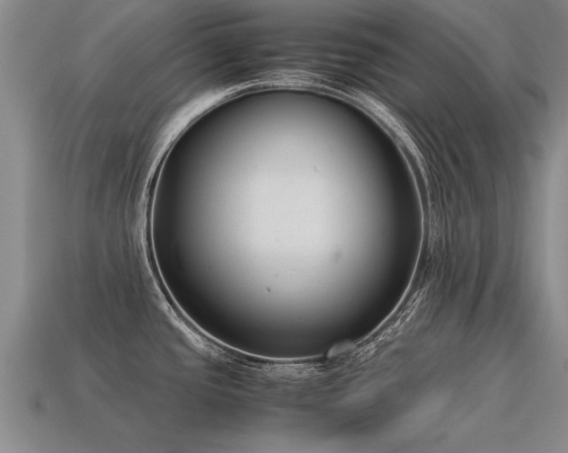 X0000115601437200911101356