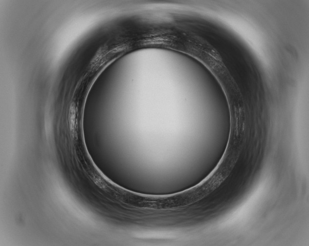 X0000115601438200911101356