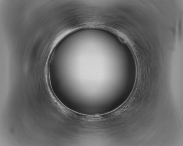 X0000115601440200911101356