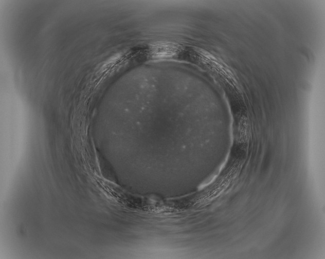 X0000115601441200911101355