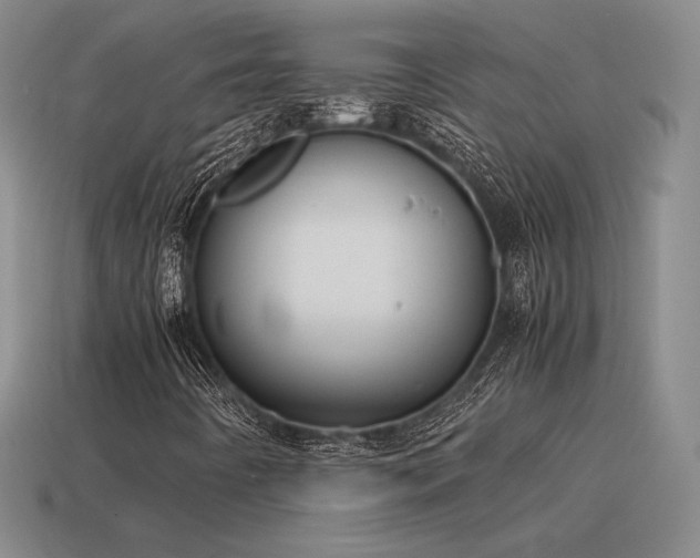 X0000115601442200911101355