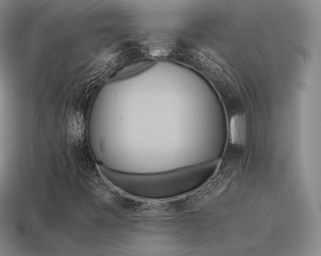 X0000115601443200911101355