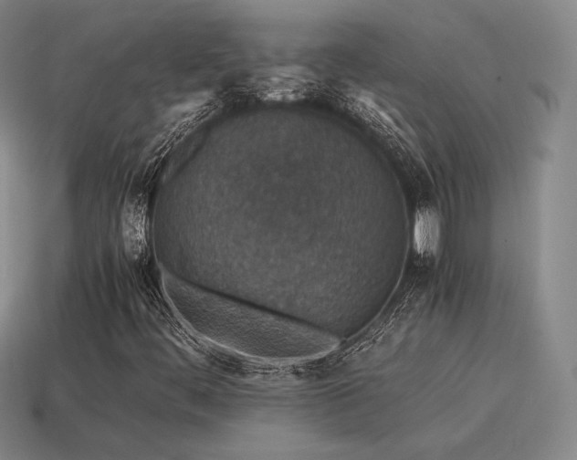 X0000115601444200911101355