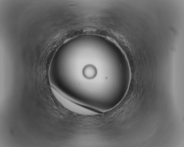 X0000115601445200911101355