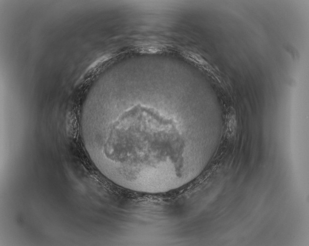 X0000115601446200911101355