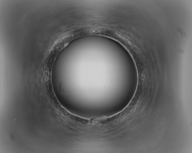 X0000115601447200911101355