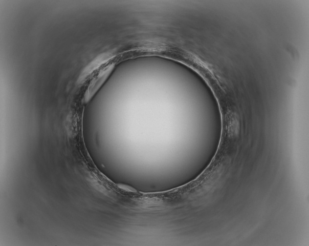 X0000115601448200911101355