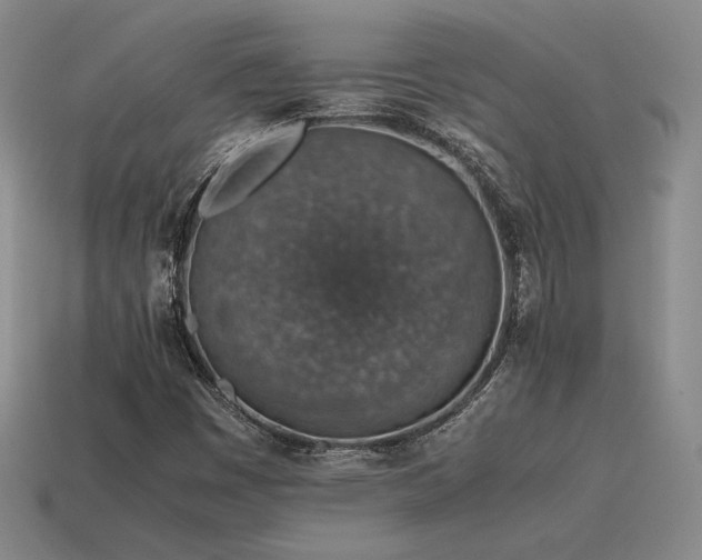 X0000115601449200911101355