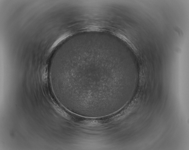 X0000115601450200911101355