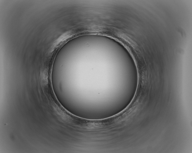 X0000115601451200911101355