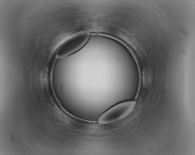 X0000115601452200911101355