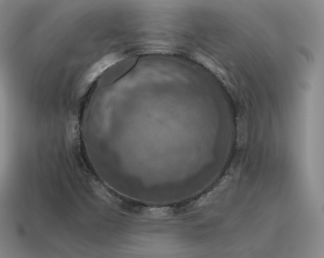 X0000115601453200911101355