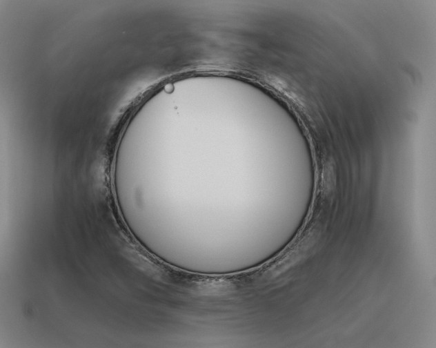X0000115601454200911101355