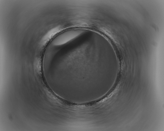 X0000115601455200911101355