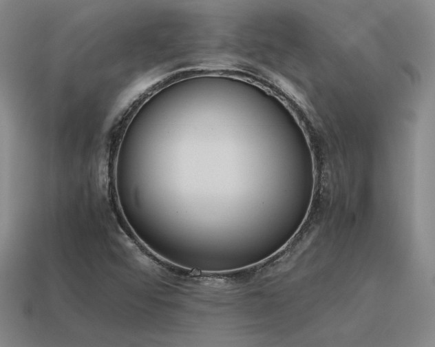 X0000115601456200911101355